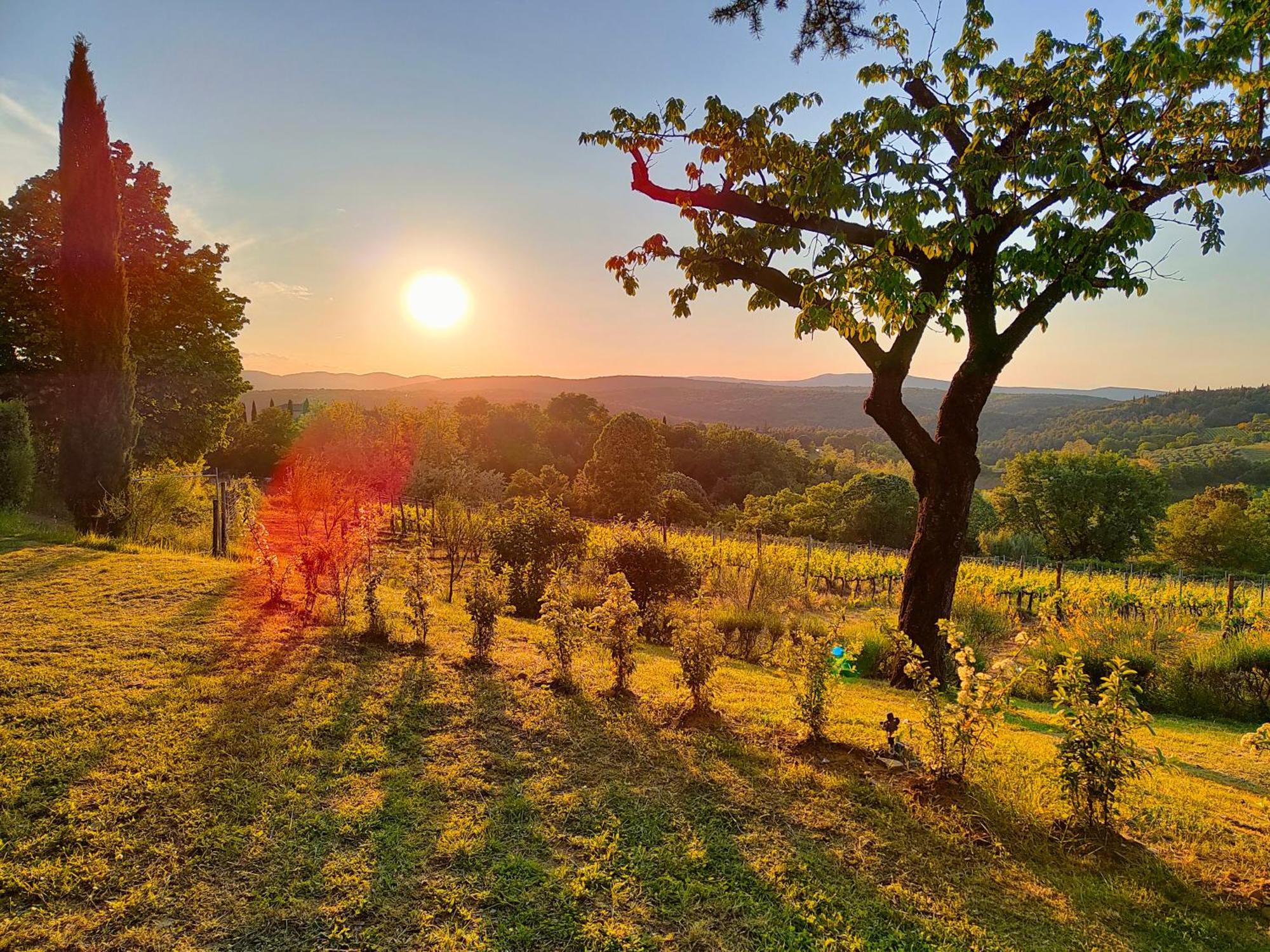 Borgo Villa Certano - Case Vacanza In Toscana Siena Exterior foto