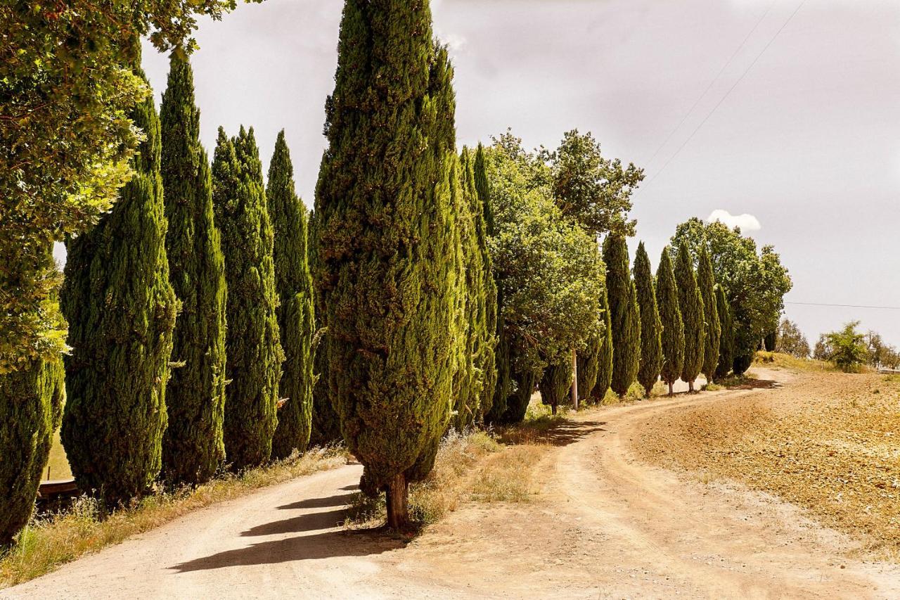Borgo Villa Certano - Case Vacanza In Toscana Siena Exterior foto